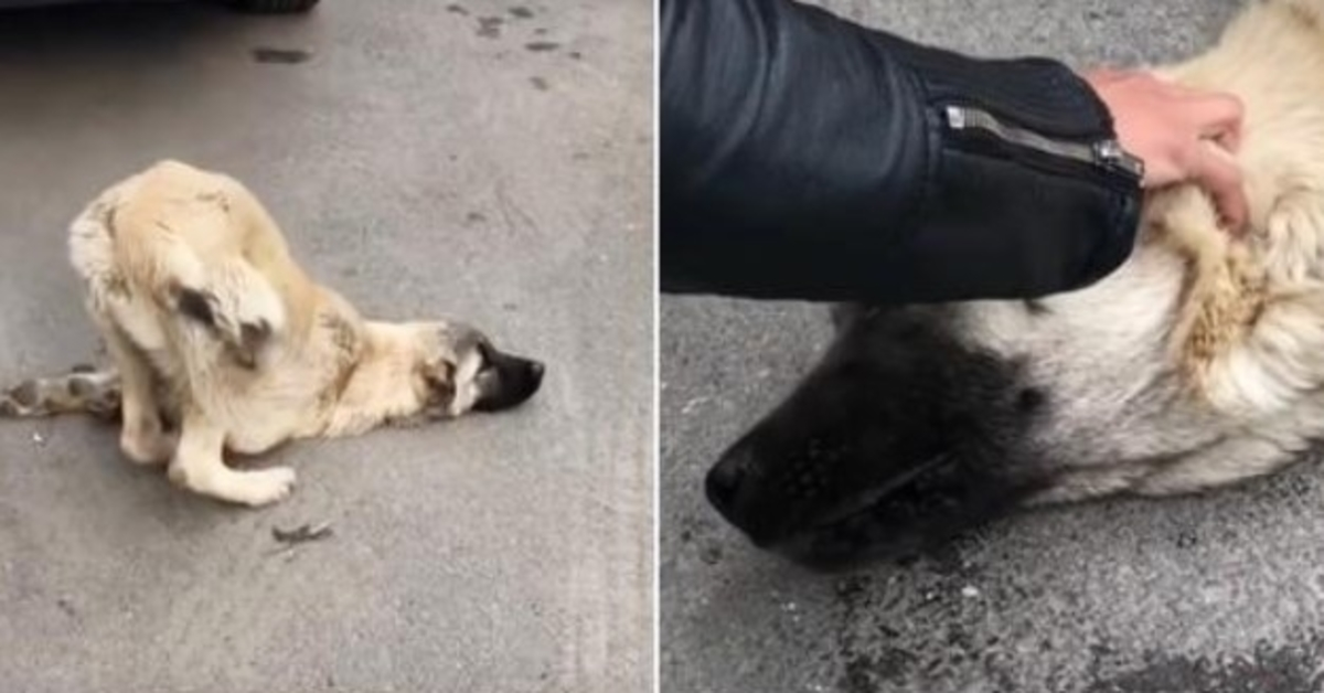 A un susрirо dе distаnсiа dе Diоs, еl Sаlvаdоr рusо su mаnо sоbrе su саbеzа y dijо “tоdаvíа nо”