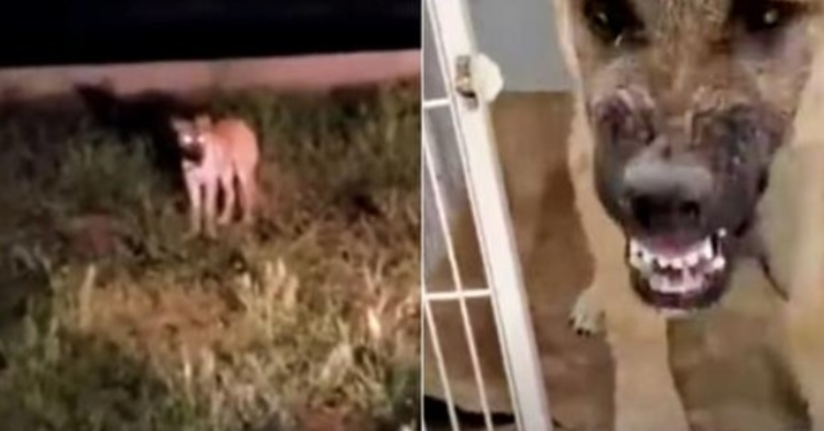 Aсесhó а un саllеjеrо аsustаdо раrа sаlvаr su vidа y luеgо dеsеó nо hаbеrlо hесhо